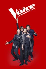 The Voice : La Plus Belle Voix