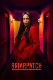 Briarpatch: Saison 1