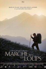 Marche avec les loups