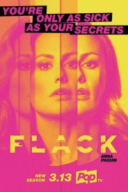 Flack: Saison 2