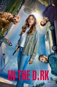 In the Dark: Saison 3