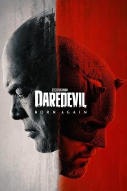Daredevil : Born Again: Saison 1